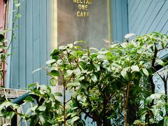 -Nectar One Cafe(勇烈路n1店)