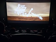 -万达影城(金平万达广场IMAX店)