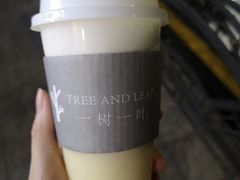 -一树一叶·福建茶档(石鼓路店)