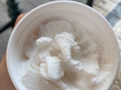 -洪馨椰子