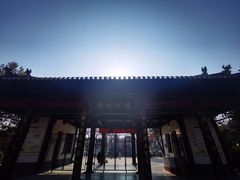 -莲湖公园