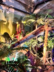 -恐龙探索乐园(磁器口店)