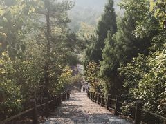 -天台山赤城山景区