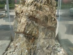 -陕西自然博物馆