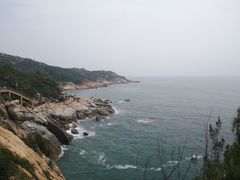 -广东惠东海龟国家级自然保护区