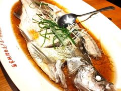 -丹江渔村(望京店)