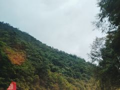 -高黎贡山自然公园