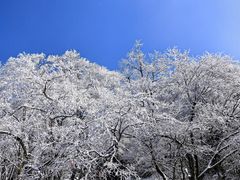 -黄山白云宾馆