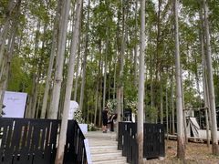 -桉树林A coffee 森林餐厅(三圣乡店)