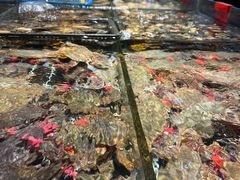 -佳和水饺(海德公馆店)