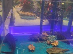 -SEA西雅图海鲜自助餐厅(海乐世界店)