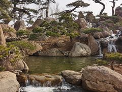 -罗红摄影艺术馆