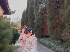 -苏州文庙(姑苏区)