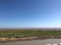 -南汇嘴观海公园