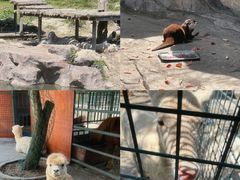 -宁波野生动物园
