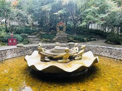 -杭州黄龙洞