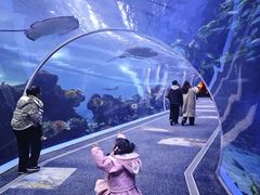 -成都浩海立方海洋公园