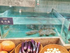 -鱼你相聚·河鲜馆(袁家岭店)
