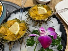 -老大连·海肠捞饭·大连海鲜大连菜(西安路店)