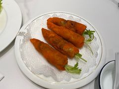 -丁老爷子苏香圆