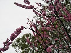 -金海湾滨江公园