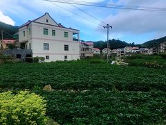 -军营村