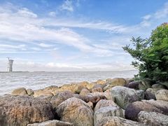 -上海吴淞炮台湾国家湿地公园
