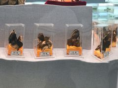 -北京中医药大学-中医药博物馆