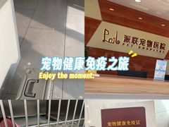 -派联宠物医院·24h·CT·异宠