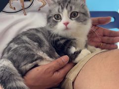 -瑞派福兴宠物医院犬猫全科·骨科·中西医结合(河东店)