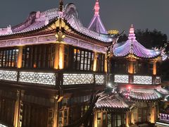 -绿波廊(豫园店)