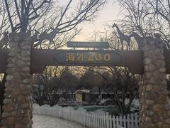 -北京市海淀外国语实验学校