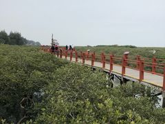 -北海金海湾红树林生态旅游区