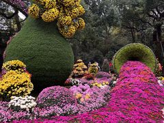 -杭州植物园