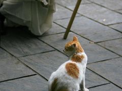 -广州兰圃