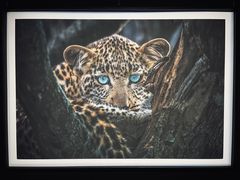 -罗红摄影艺术馆