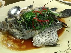 -陶缘一号·四季缘·老字号顺德菜·户外婚礼家宴(西滘店)