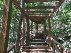 -大岭沟猕猴桃谷风景区