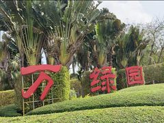 -万绿园