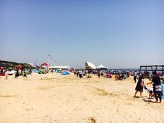 -碧海金沙