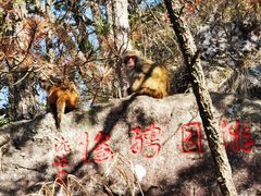 -庐山风景名胜区