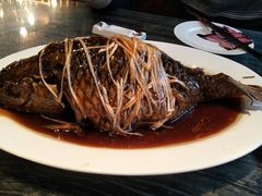 罾蹦鲤鱼-津菜典藏河西店(水上店)