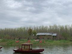 -合肥滨湖国家森林公园