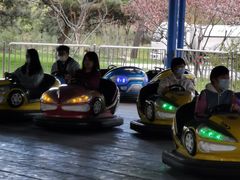 -南戴河国际娱乐中心