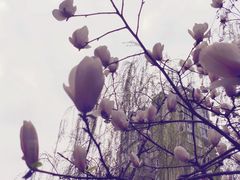 -白鹭湾湿地公园