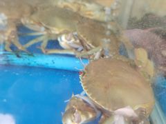 -宏佳丰味蟹馆(洛溪店)