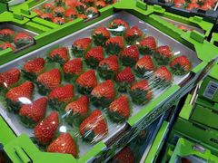 -新荟城(望京店)
