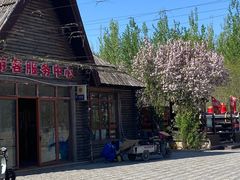 -西青郊野公园