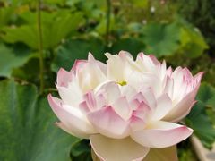 -南戴河国际娱乐中心