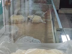 -杨招娣糕点(装驾桥巷店)